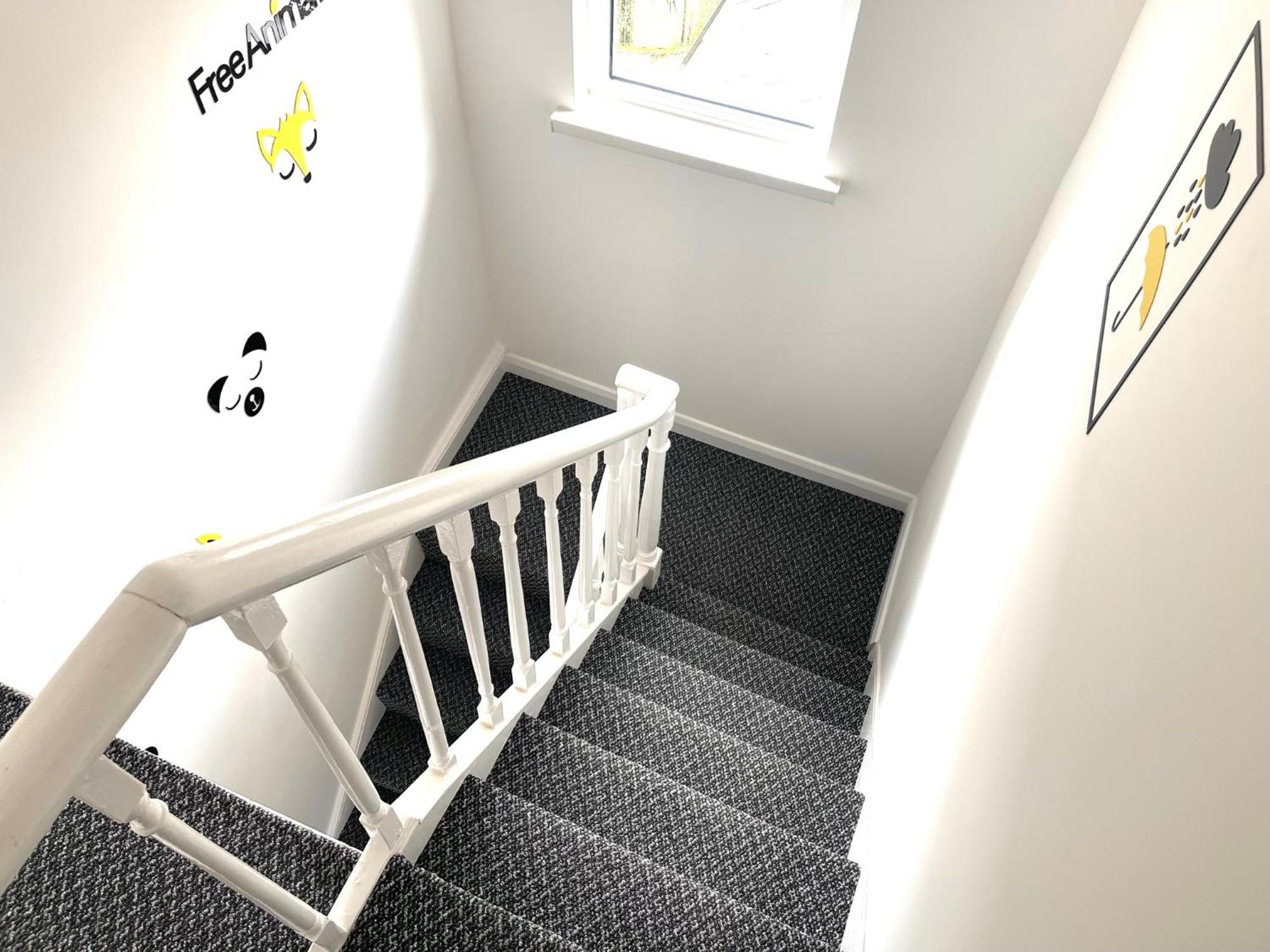 Entire Yellowapt Near Belfast City Centre - Free Parking - Up To 3 Guests - 2 Beds Экстерьер фото